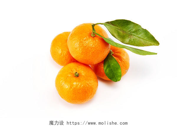 白底新鲜水果绿叶几个小橘子桔子蜜桔金桔橘子